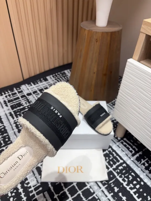 Dior Shoe 